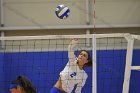 Wheaton Women's Volleyball  Wheaton Women's Volleyball vs Bridgewater State University. : Wheaton, Volleyball, BSU, Bridgewater State College